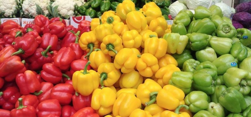 exportacion-frutas-y-hortalizas-1020x600
