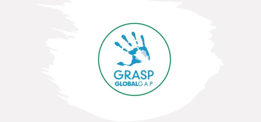 grasp