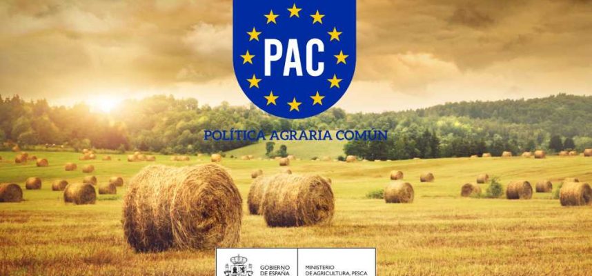 Curso-PAC