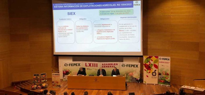 SIEX