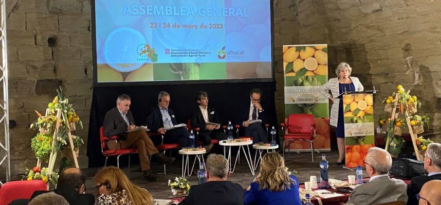 asamblea-areflh-ok