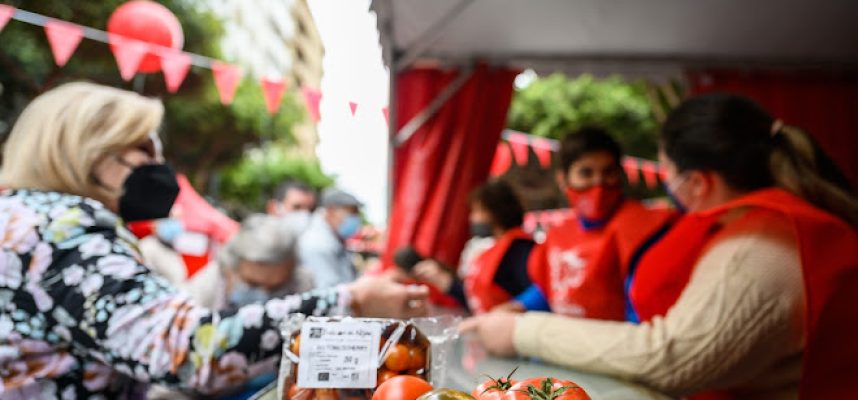 dia-tomate-2