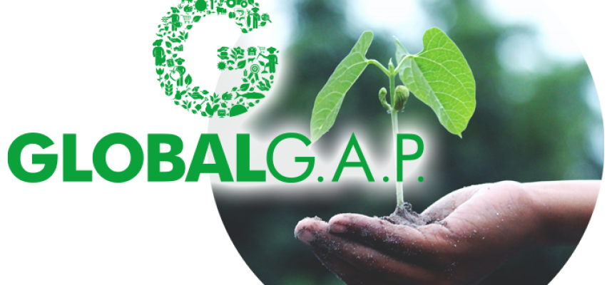 global_gap