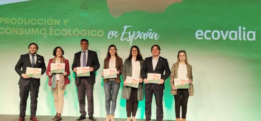 informe-anual-ecovalia-ok
