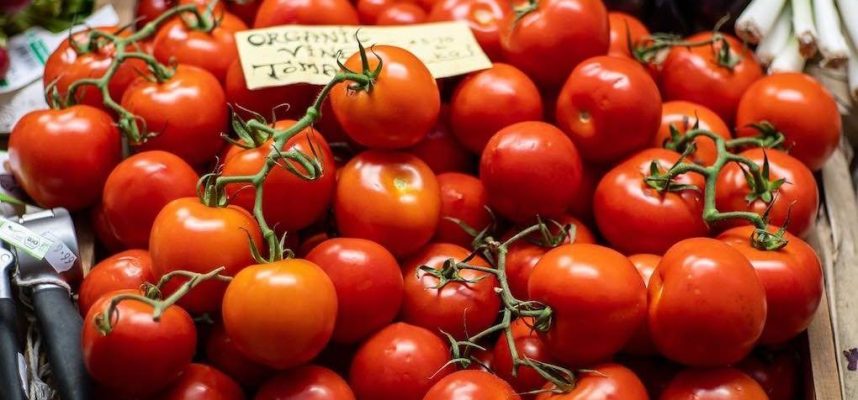Tomates-en-mercado-1020x600