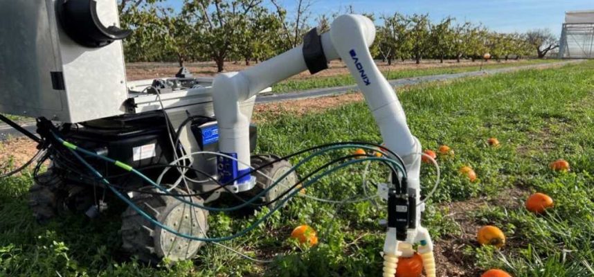 robot-desperdicio-alimentario-2-1024x577-1