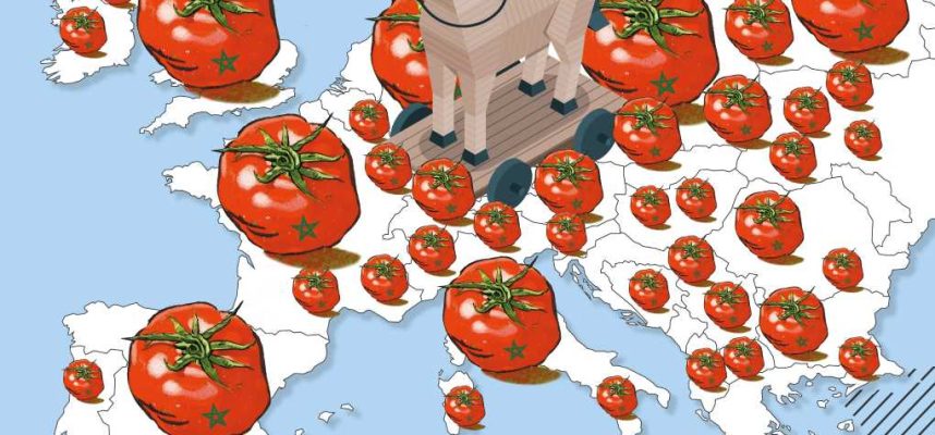 tomate marruecos UE ok