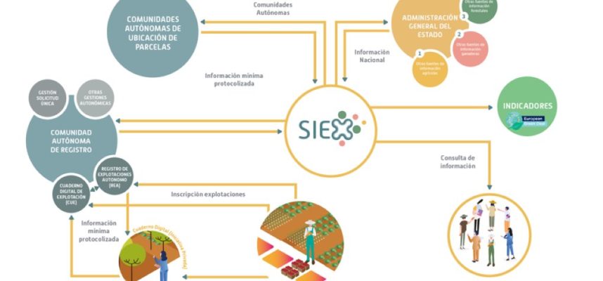 SIEX