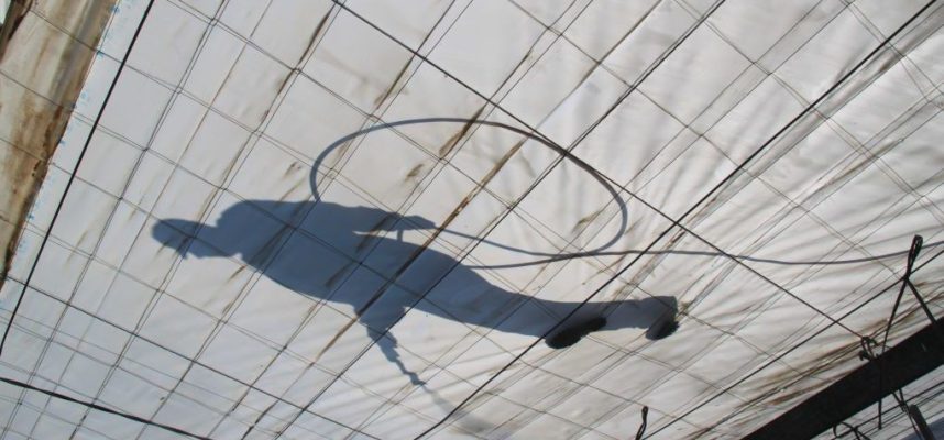 blanqueo-2-1020x600