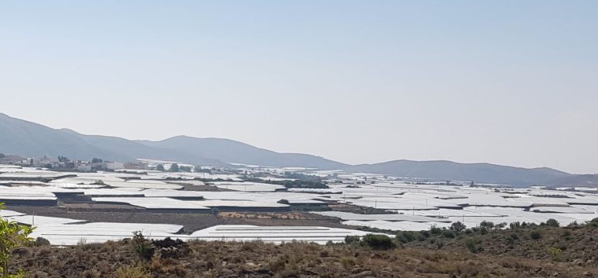 invernaderos