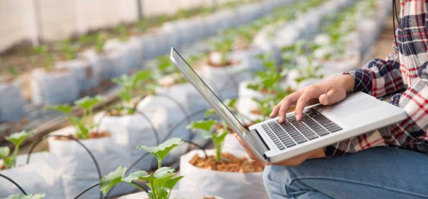 mujer-joven-controlando-plantacion