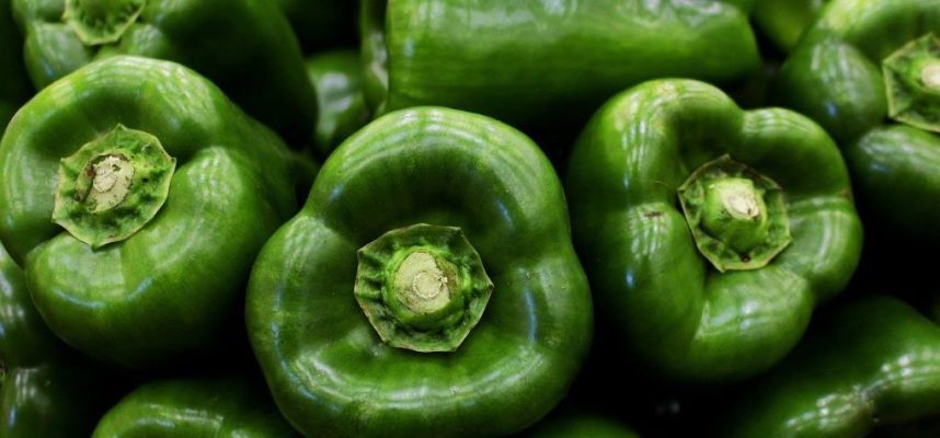 pimientos-1020x600