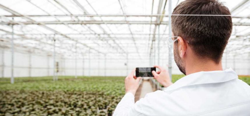 vista-posterior-hombre-haciendo-fotos-vegetacion