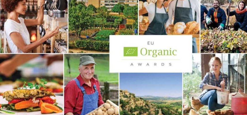 premios-ecologico
