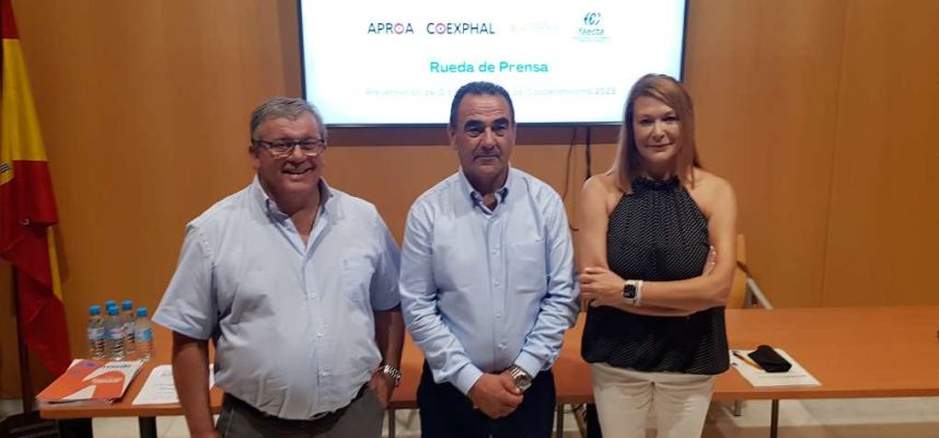 rdp-dia-cooperativismo