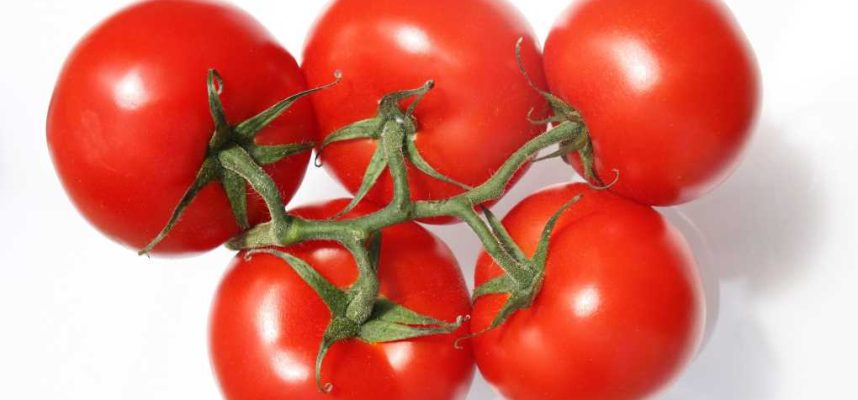 tomate-1