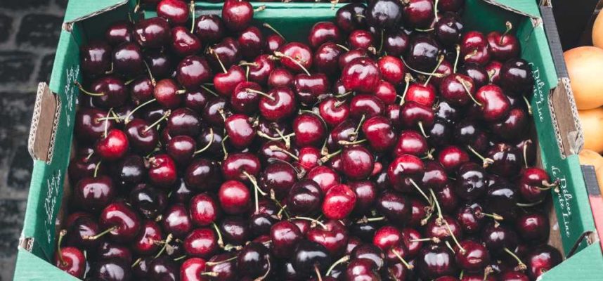 Cerezas