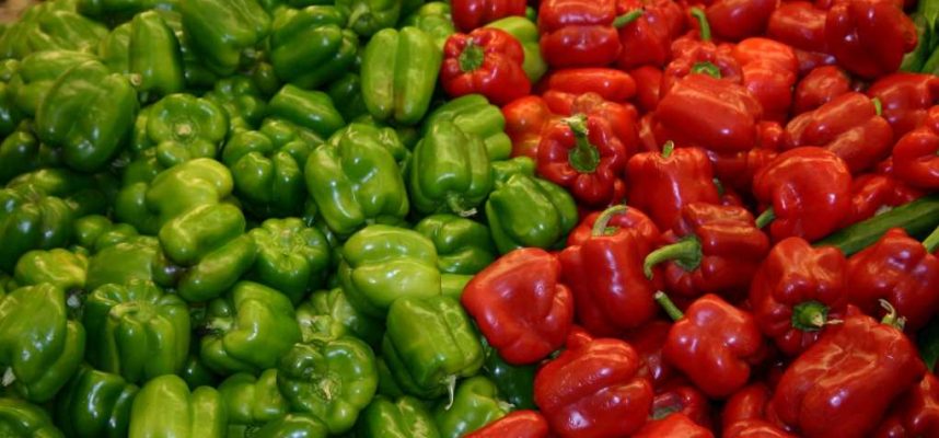Pimientos