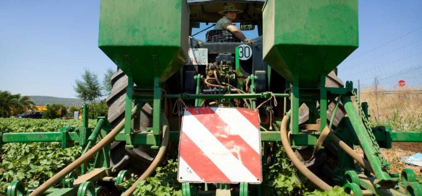 campo mujer agro