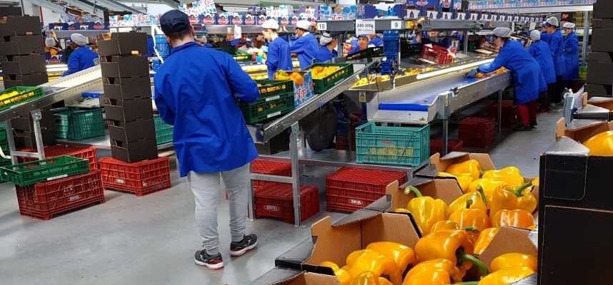 cooperativa-empleo (1)
