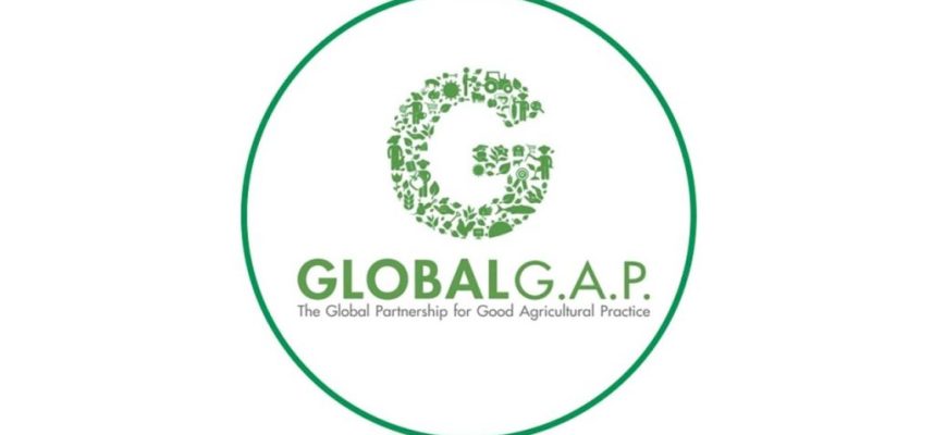 global