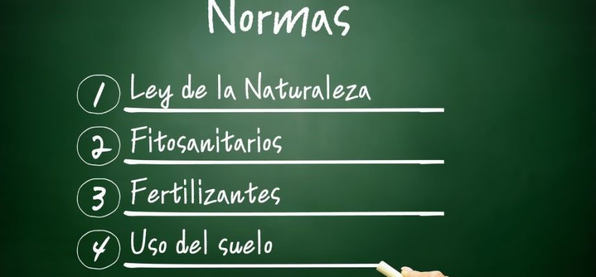 Copia de Sin título (1020 × 578 px) - 1