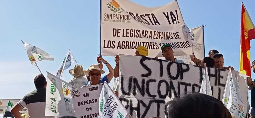 manifestacion-Cordoba-e1694003954284