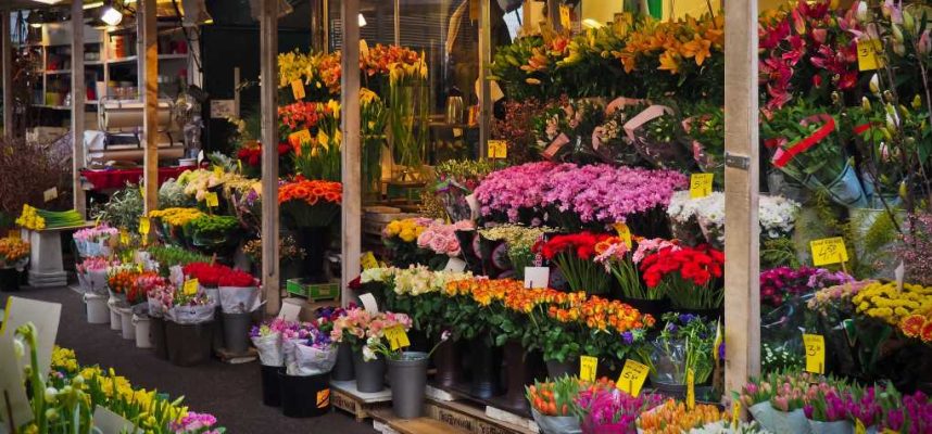 planta-flor-mercado