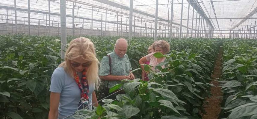 Visita Embajada Alemania_COEXPHAL_Murgiverde