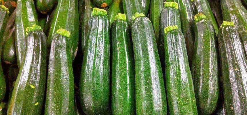 calabacines-1024x600