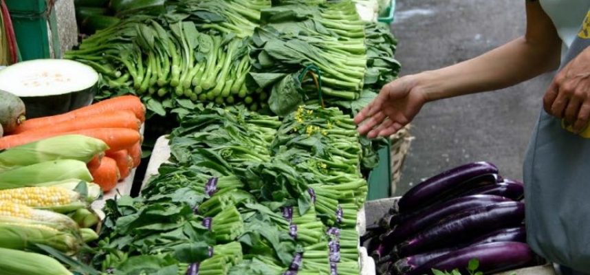 alimentos