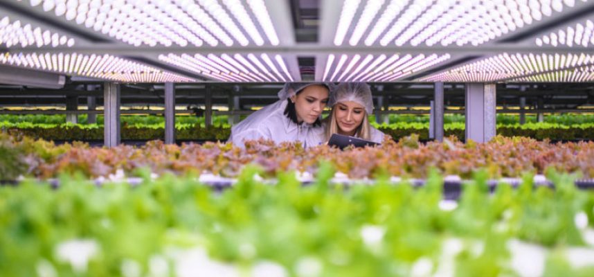 biotecnologia-agroalimentaria