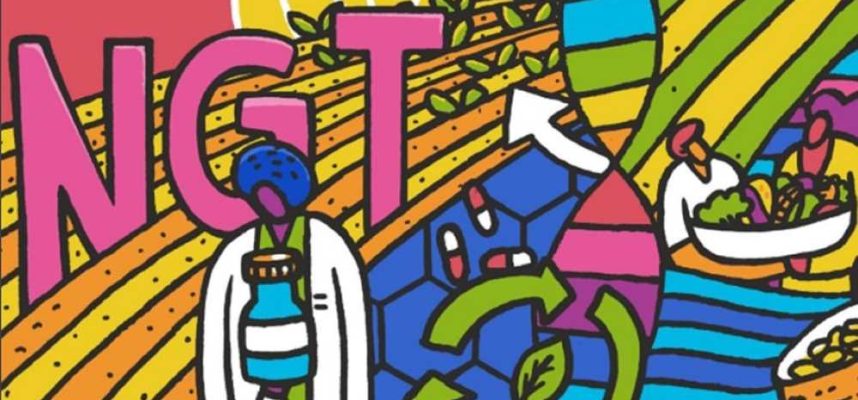 informe-NTG