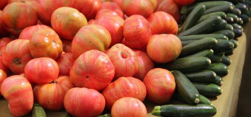 tomates-y-calabaciones-1020x600