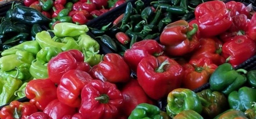 pimientos-1020x600