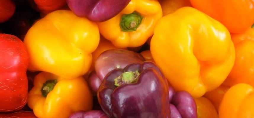 pimientos-food-defense-ok