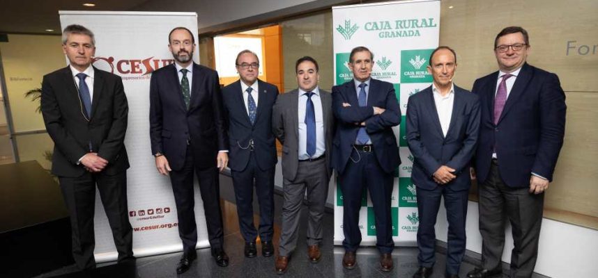 cesur-granada