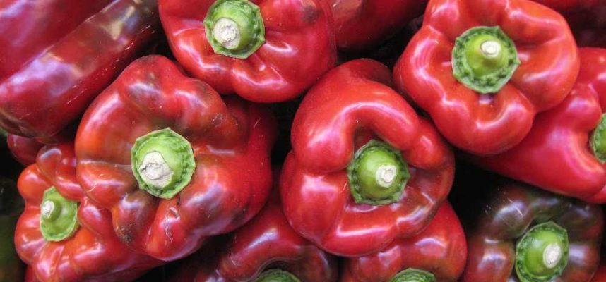 pimiento-rojo