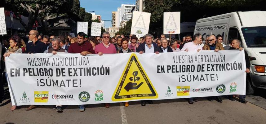 manifestación 19 N