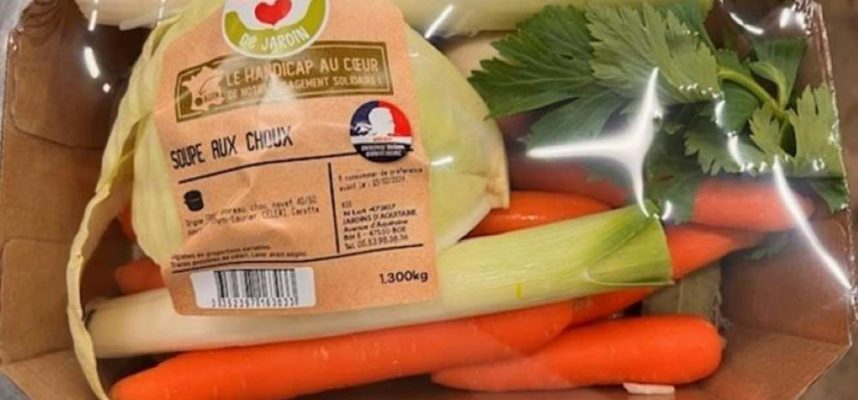 verduras-para-sopa
