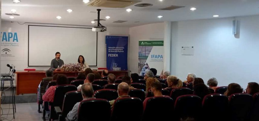 Ifapa