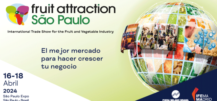 News-Latam_764x382px