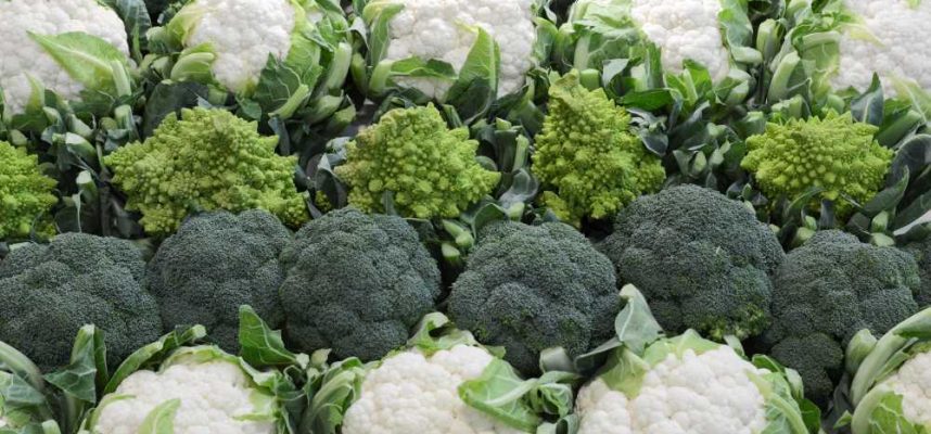 coliflorybrocoli