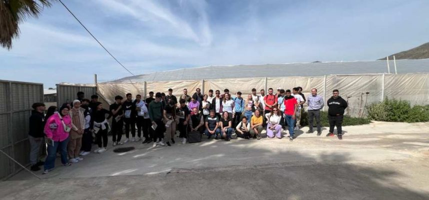 doto-grupo