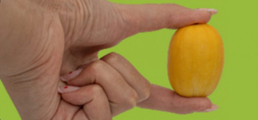 melon-peque