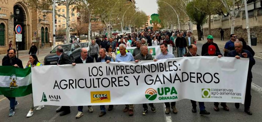 protestas-granada