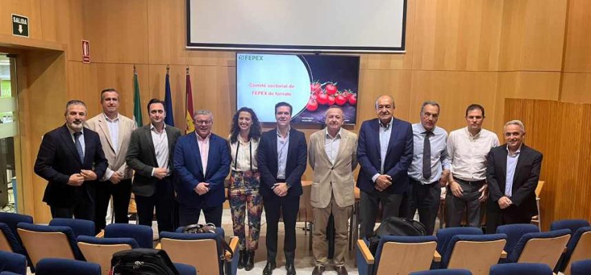 comite-de-fepex