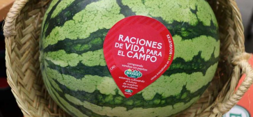 sandia-anecoop