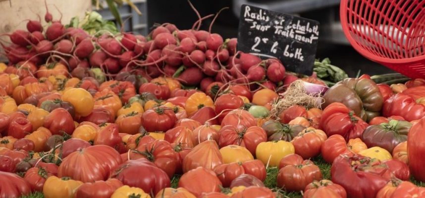 tomates-Marruecosok-1020x600