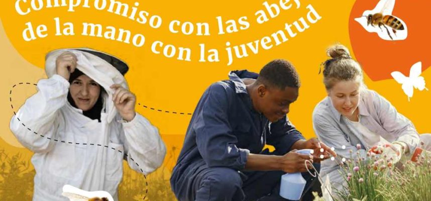 abejas-dia-mundial